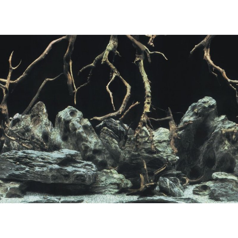Aqua Nova Aquarium Hintergrund Folie Roots/Water L - 100x50 cm
