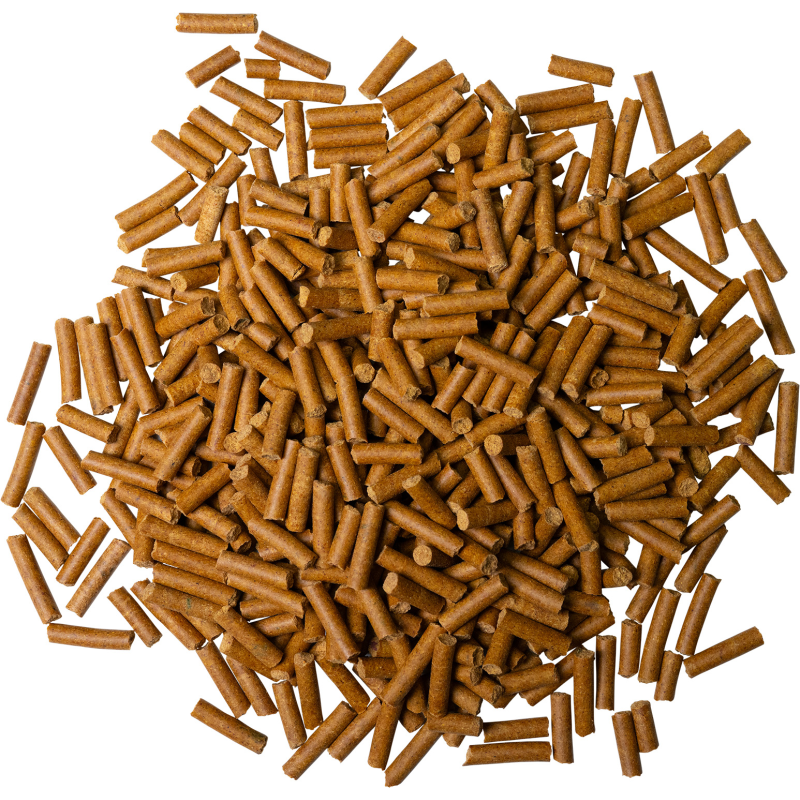 Dennerle Shrimp King Color