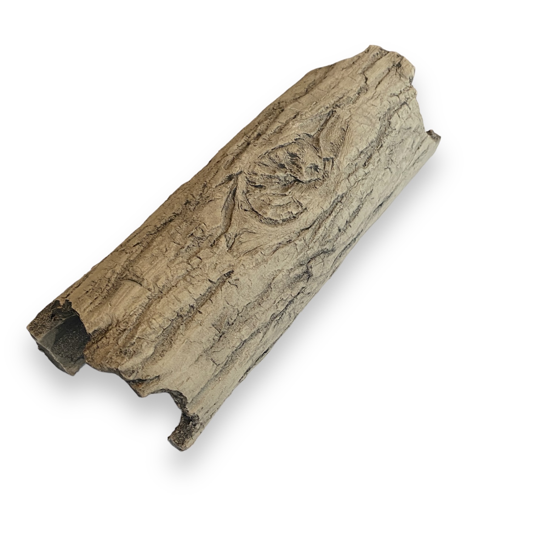 Tree Bark wooden pattern  Tonbaumrinde naturfarben