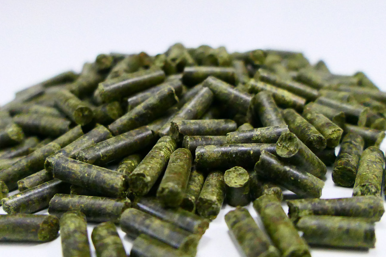 MisterKrabss - Moringa Blatt Sticks - 50 Gramm - B-Ware MisterKrabss - Moringa Blatt Sticks - 50 Gramm - B-Ware