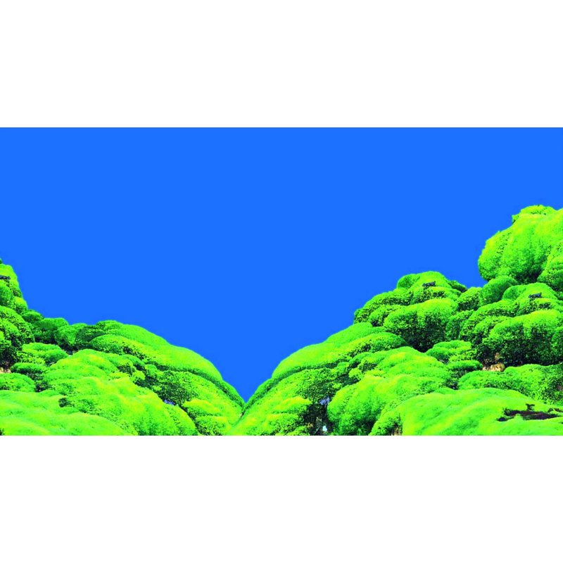 Hobby Aquarium Hintergrund Folie "Spring/Moss" 60x30cm Hobby Aquarium Hintergrund Folie "Spring/Moss" 60x30cm