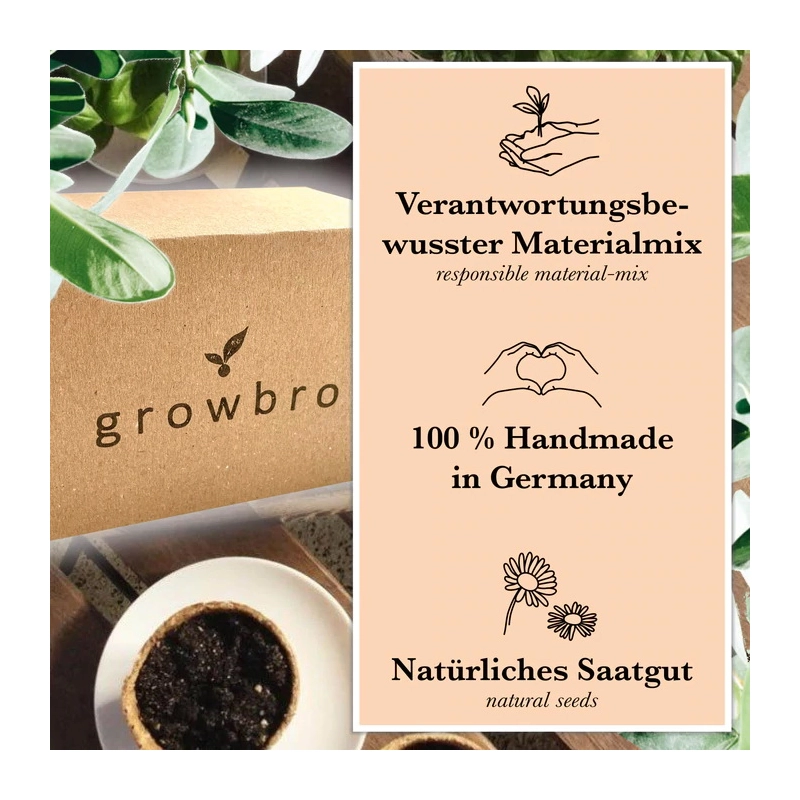 growbro Bonsai Starter Set growbro Bonsai Starter Set