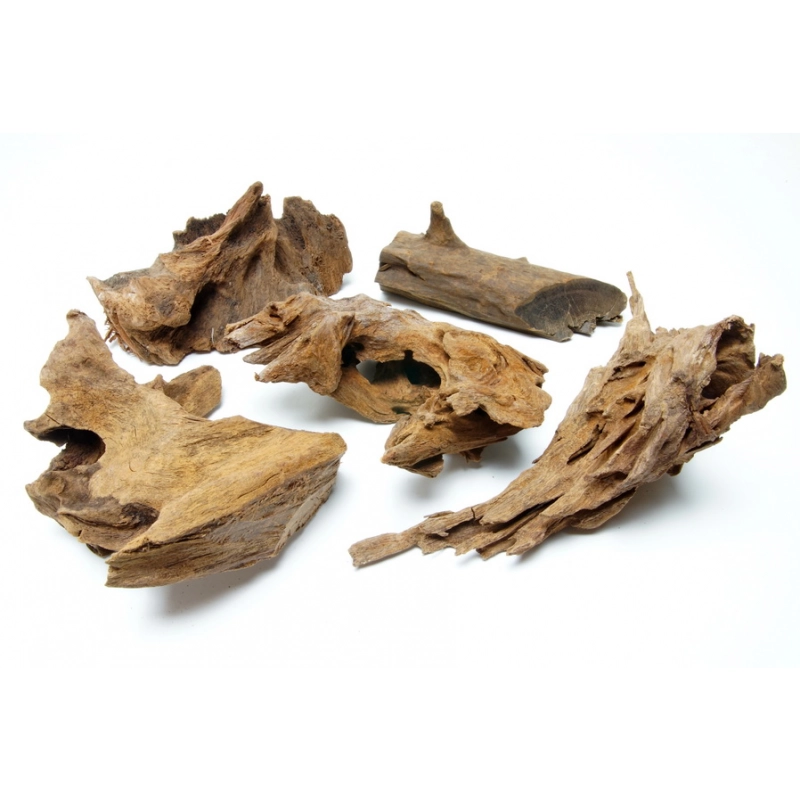 Mangroven Wurzel Small - bis 20cm (max. 25cm)