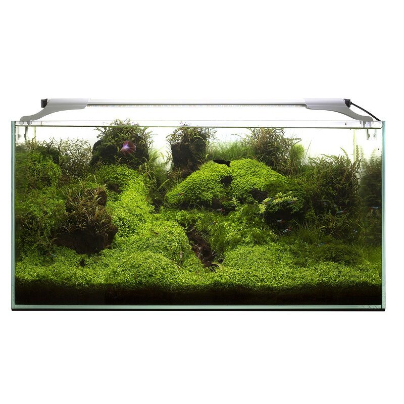 Aquael Leddy SLIM 32W 80-100cm Aquael Leddy SLIM 32W 80-100cm