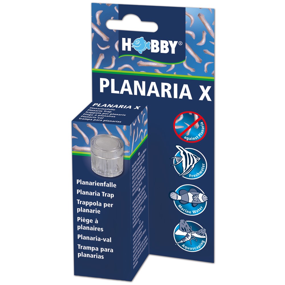 Hobby Planaria X Planarienfalle