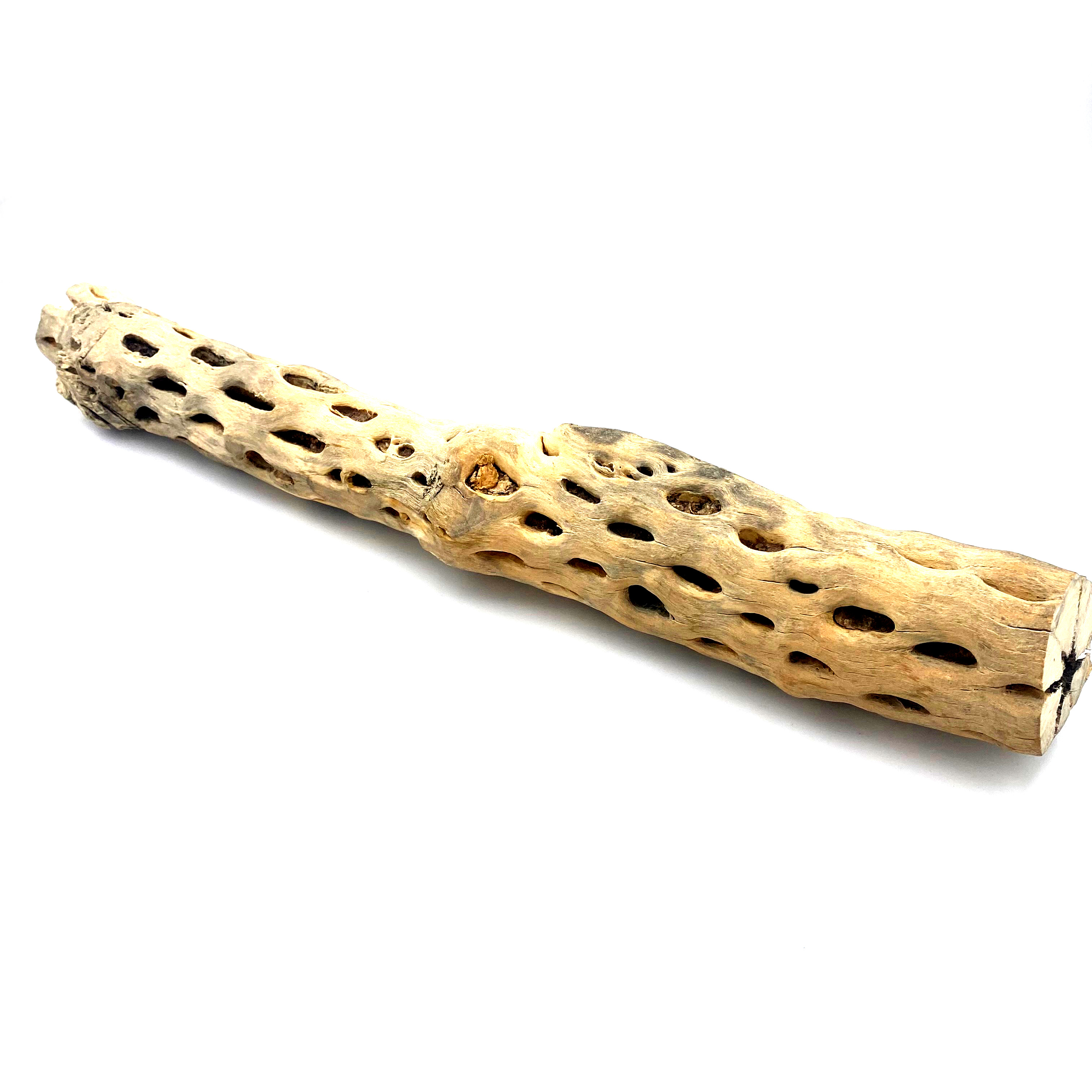 Vuka Holz - Cholla Wood - hell - 40-50 cm Vuka Holz - Cholla Wood - hell - 40-50 cm