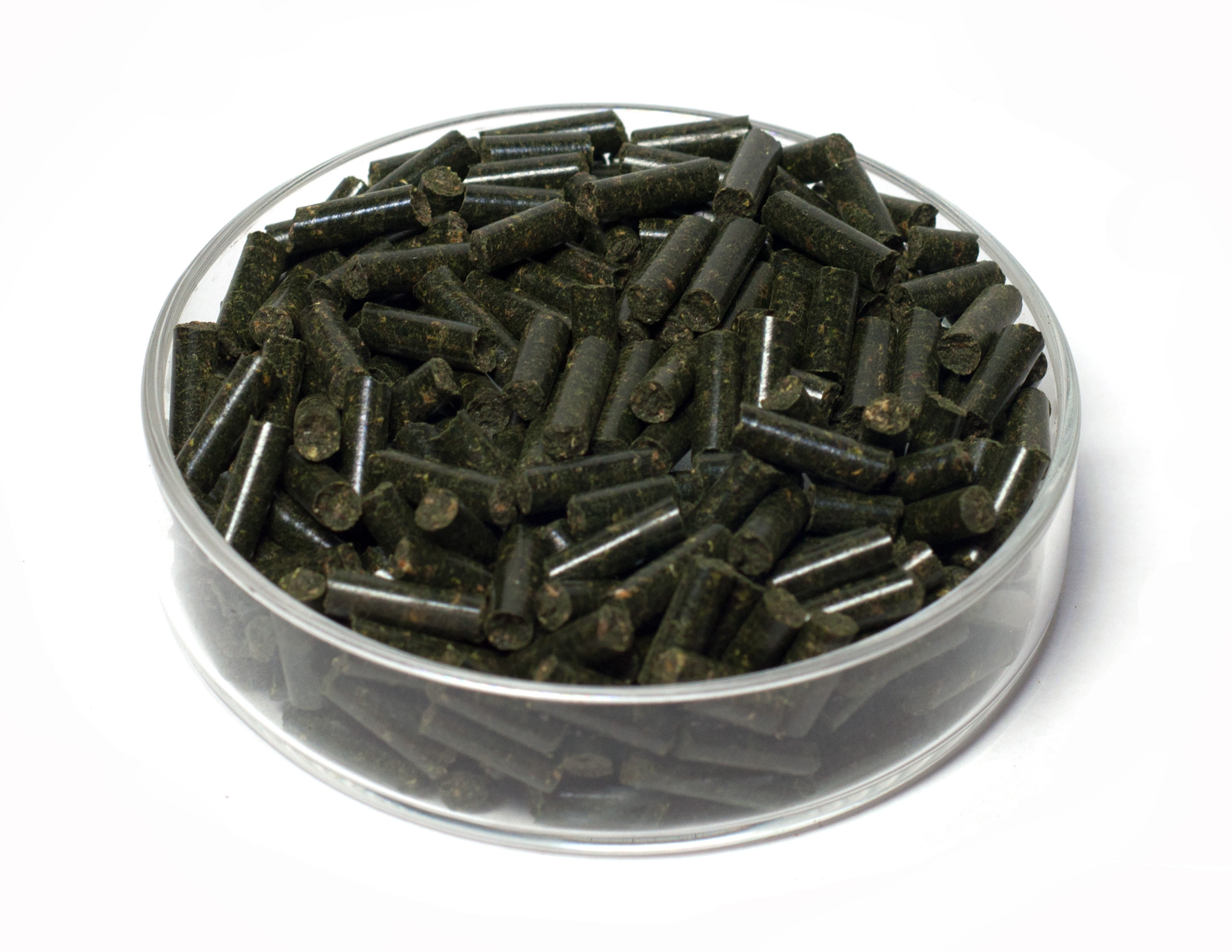 GARNELEN4YOU® Brennnessel Sticks, 50 g Futter Pellets für Garnelen, Krebse und Schnecken GARNELEN4YOU® Brennnessel Sticks, 50 g Futter Pellets für Garnelen, Krebse und Schnecken