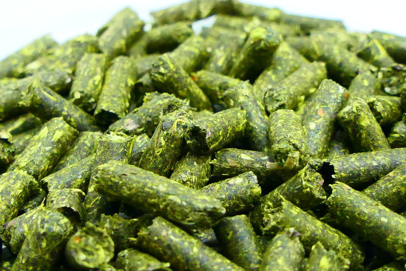 MisterKrabss - Löwenzahn Sticks - 50 Gramm MisterKrabss - Löwenzahn Sticks - 50 Gramm