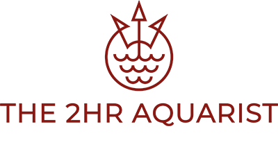 The 2hr Aquarist
