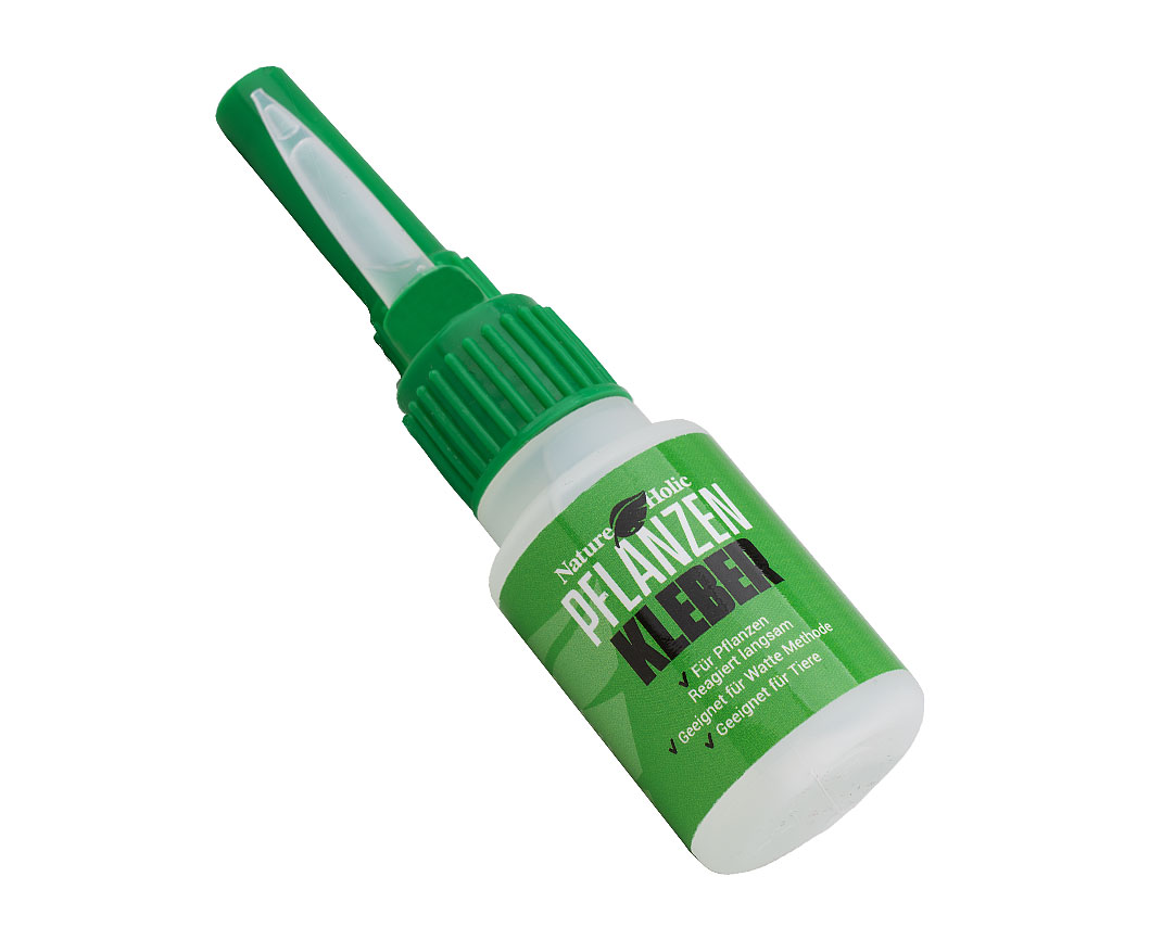 NatureHolic - Pflanzenkleber - 20g NatureHolic - Pflanzenkleber - 20g