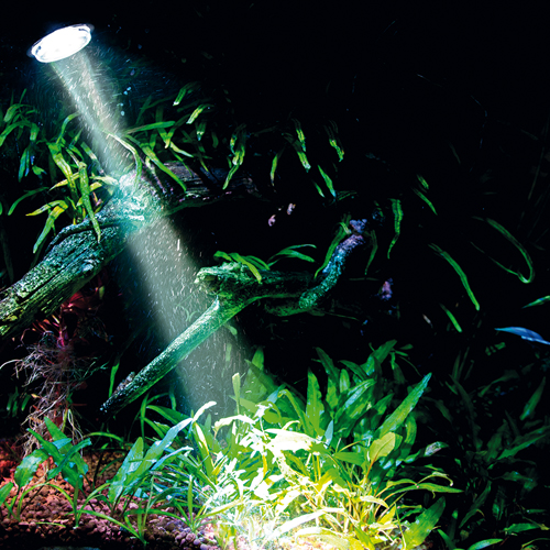 Hobby Bubble Air Spot daylight - Tageslicht Spot Beleuchtung Hobby Bubble Air Spot daylight - Tageslicht Spot Beleuchtung