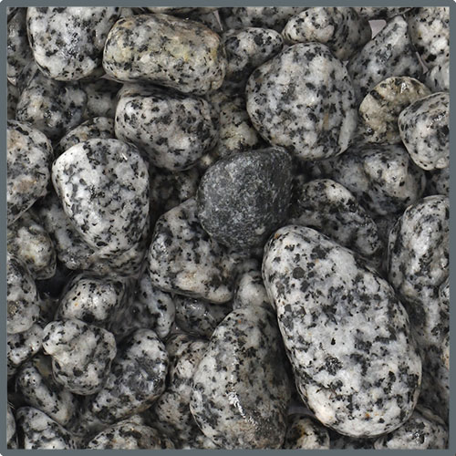 Dupla Ground nature Dalmatiner Stone Bodengrund Steine 10 - 25 mm, 5 kg Dupla Ground nature Dalmatiner Stone Bodengrund Steine 10 - 25 mm, 5 kg