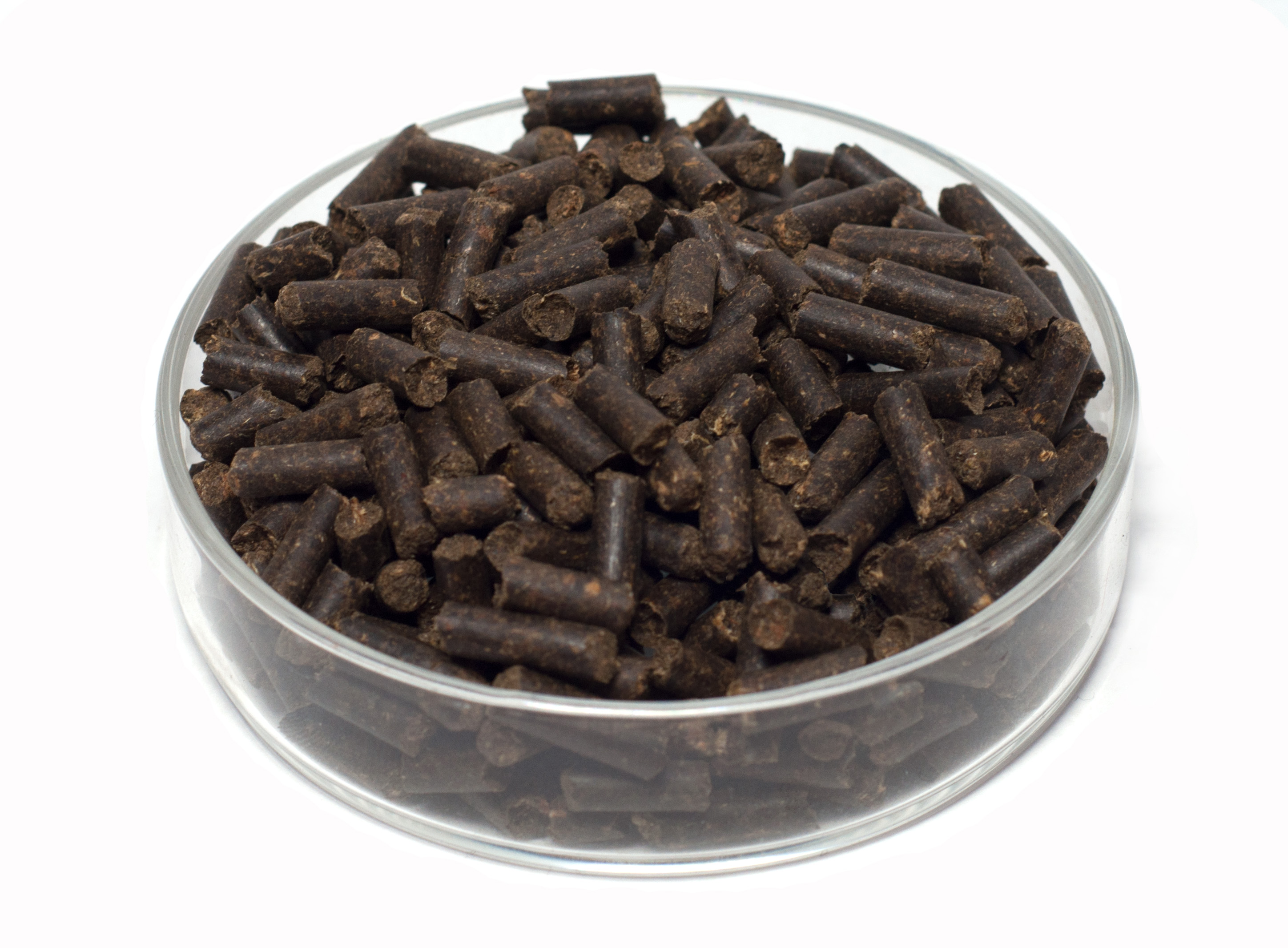 GARNELEN4YOU® Löwenzahn Sticks, 50 g Futter Pellets für Garnelen, Krebse und Schnecken GARNELEN4YOU® Löwenzahn Sticks, 50 g Futter Pellets für Garnelen, Krebse und Schnecken