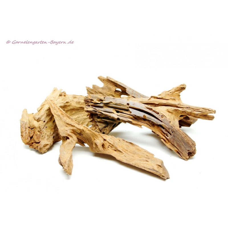 Mangroven Wurzel Medium - ca. 25-35cm
