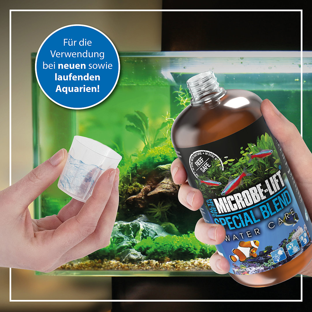 Microbe-Lift Special Blend - Biologisches Pflegesystem Wasserpflege Bakterien 118 ml Microbe-Lift Special Blend - Biologisches Pflegesystem Wasserpflege Bakterien 118 ml
