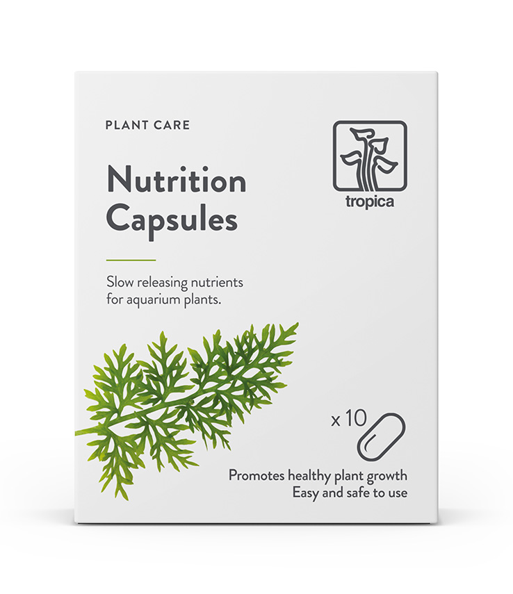 Nutrition Capsules Düngekapseln 10 Stück