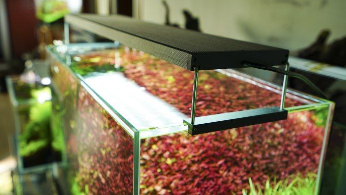 Chihiros WRGB2 45 cm (49 W) Schwarz