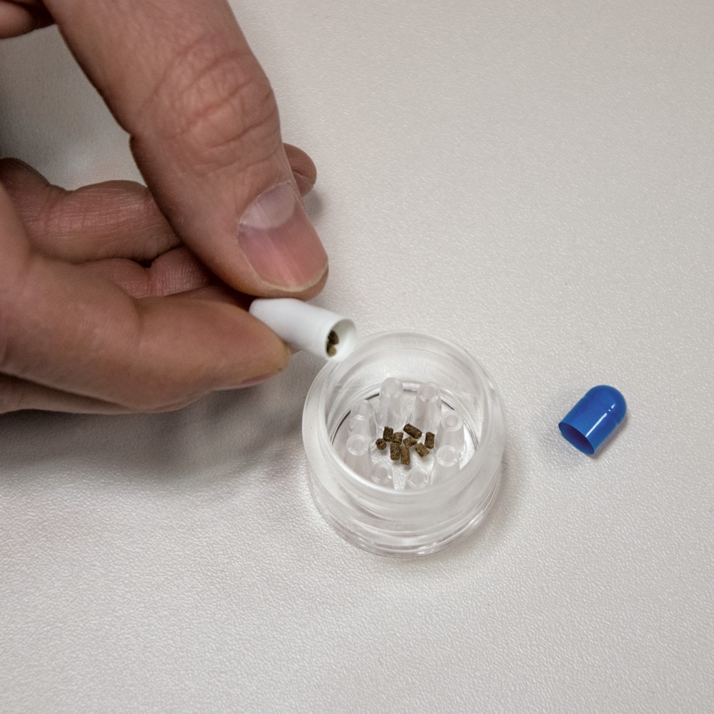 Hobby Planaria X Planarienfalle