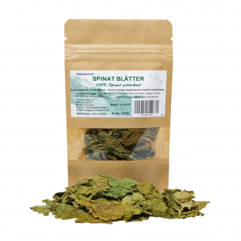 Garnelengarten Spinat Blätter 10 Stück