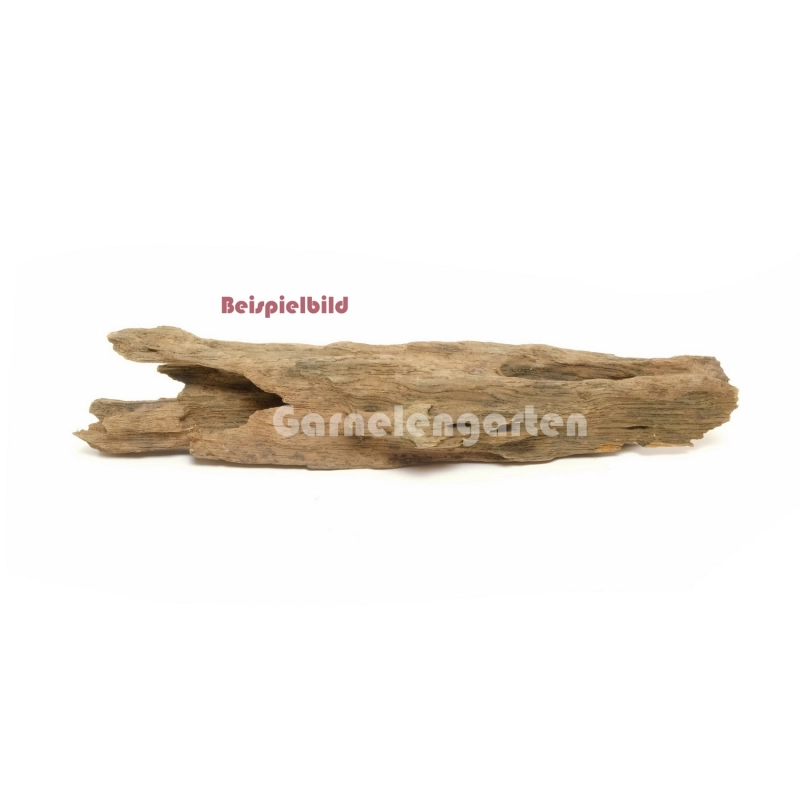 Drachenholz Dragon Wood - S - 13-30cm