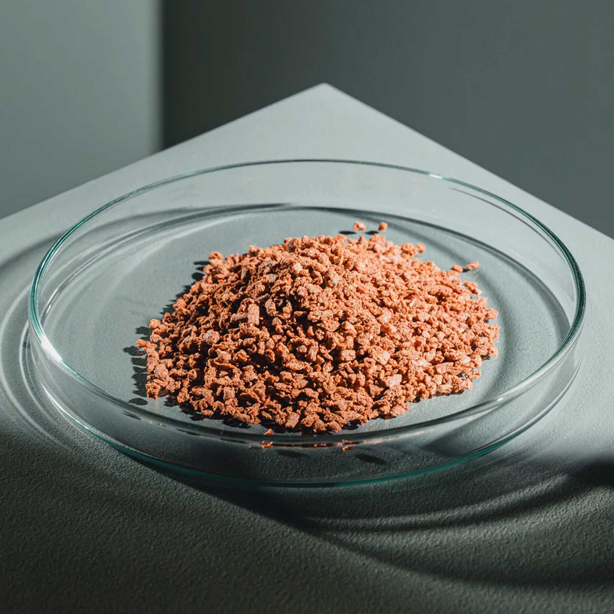 StreamBiz Skalar Protein+ Granulat M (80g)