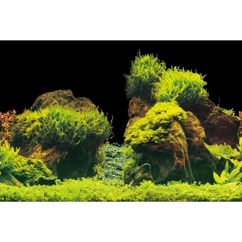 Aqua Nova Aquarium Hintergrund Folie Rock/Plants XL - 150x60 cm Aqua Nova Aquarium Hintergrund Folie Rock/Plants XL - 150x60 cm