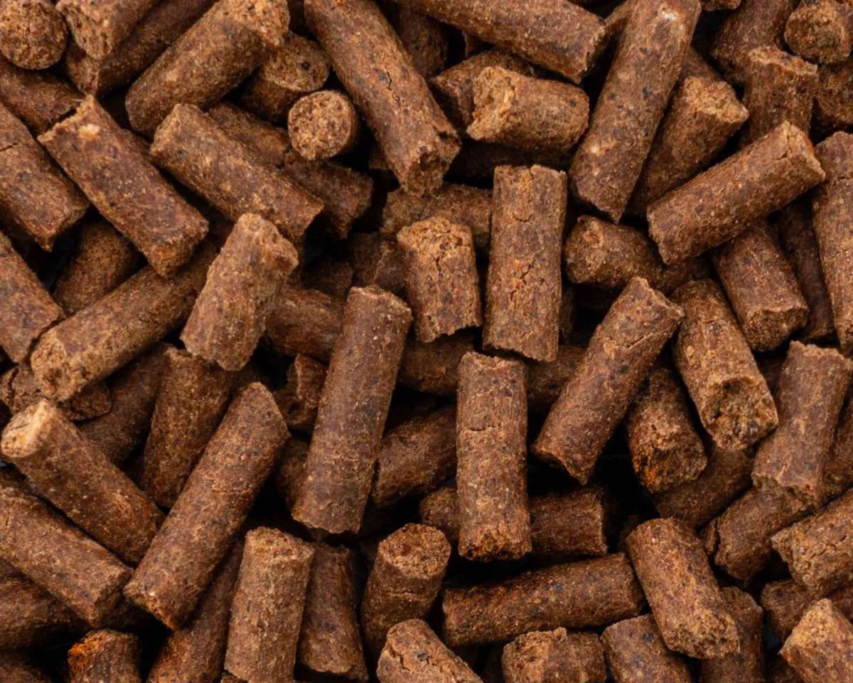 NatureHolic - AquaSnack Salmon Sticks - 30g