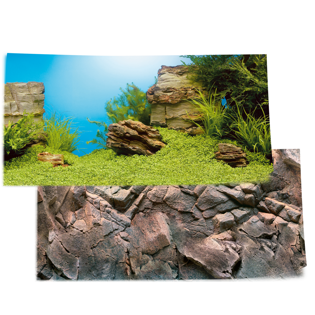 Juwel Aquarium Rückwand Folie Poster 1 - Plant / Reef - S 60x30cm Juwel Aquarium Rückwand Folie Poster 1 - Plant / Reef - S 60x30cm