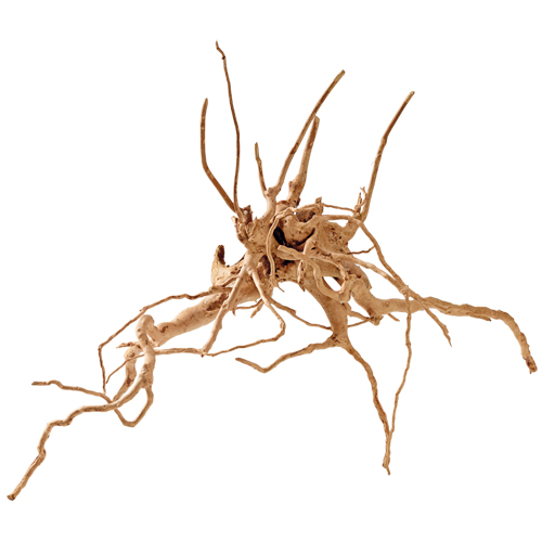 Hobby Fingerwood M Fingerwurzel 30 - 40 cm Hobby Fingerwood M Fingerwurzel 30 - 40 cm