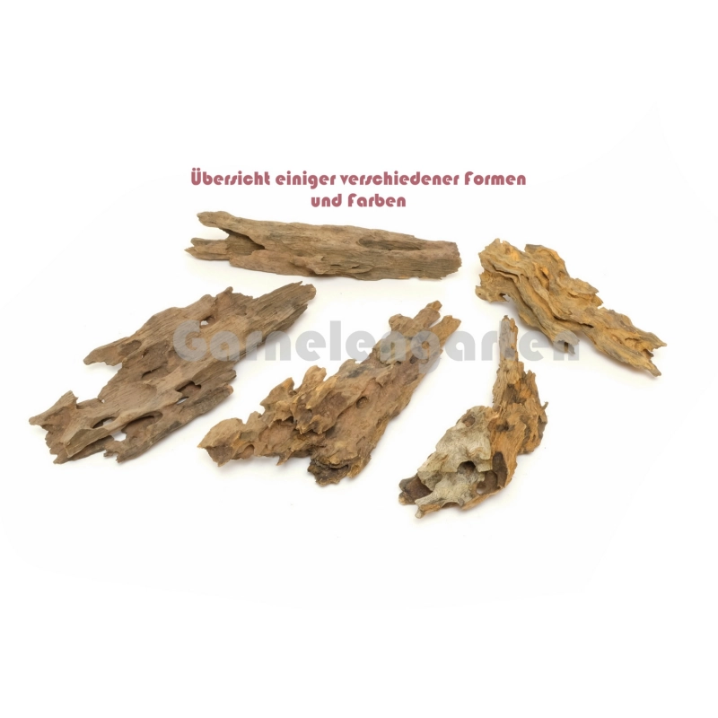 Drachenholz Dragon Wood - S - 13-30cm