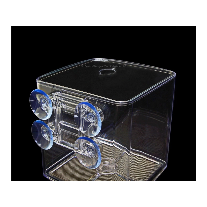 Ziss EZ Breeder GL-1T Profi Breedingbox - garnelensicher Ziss EZ Breeder GL-1T Profi Breedingbox - garnelensicher