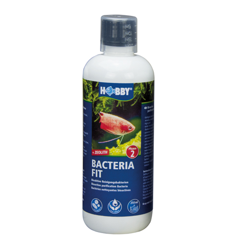 Bacteria Fit Starterbakterien Aquarium Start 250 ml