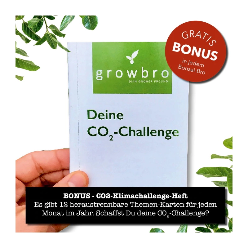 growbro Bonsai Starter Set growbro Bonsai Starter Set