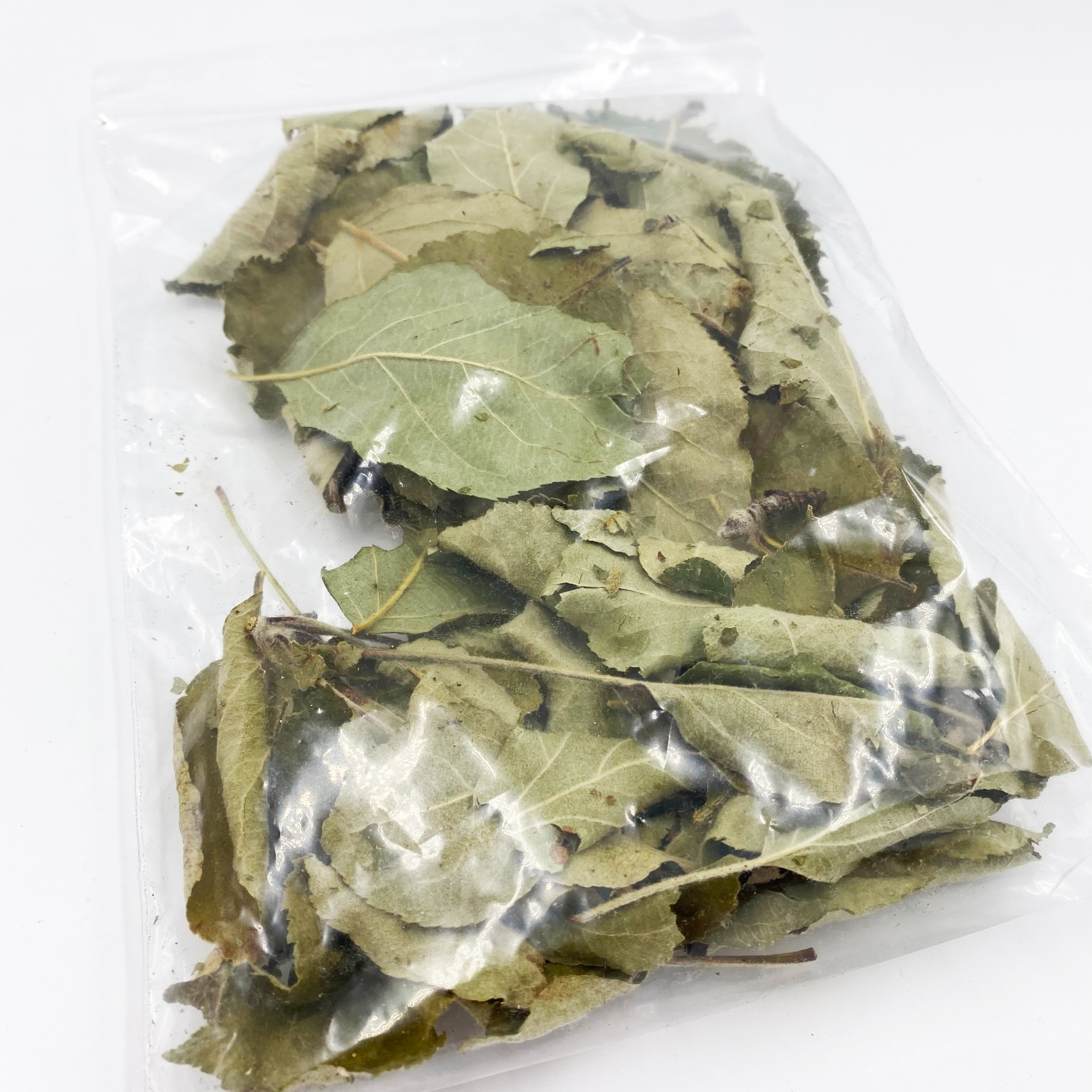 Apfelblätter 30 Stück Laub getrocknet