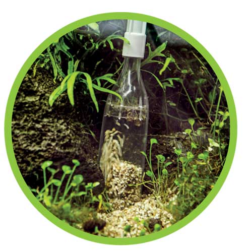Mulmglocke easy Wasserwechsel leicht gemacht Mulmglocke easy Wasserwechsel leicht gemacht
