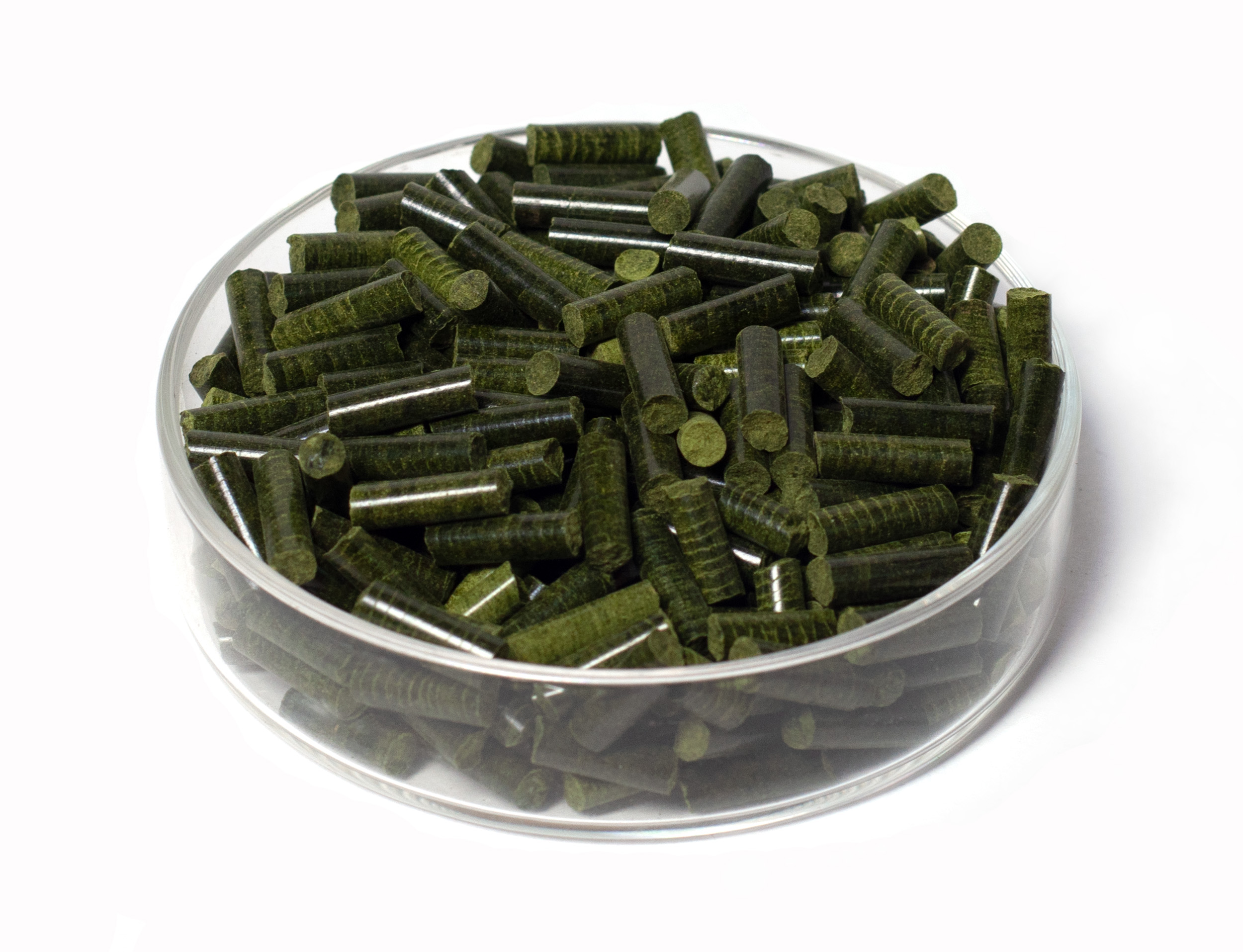 GARNELEN4YOU® Spinat Sticks, 50 g Futter Pellets für Garnelen, Krebse und Schnecken GARNELEN4YOU® Spinat Sticks, 50 g Futter Pellets für Garnelen, Krebse und Schnecken