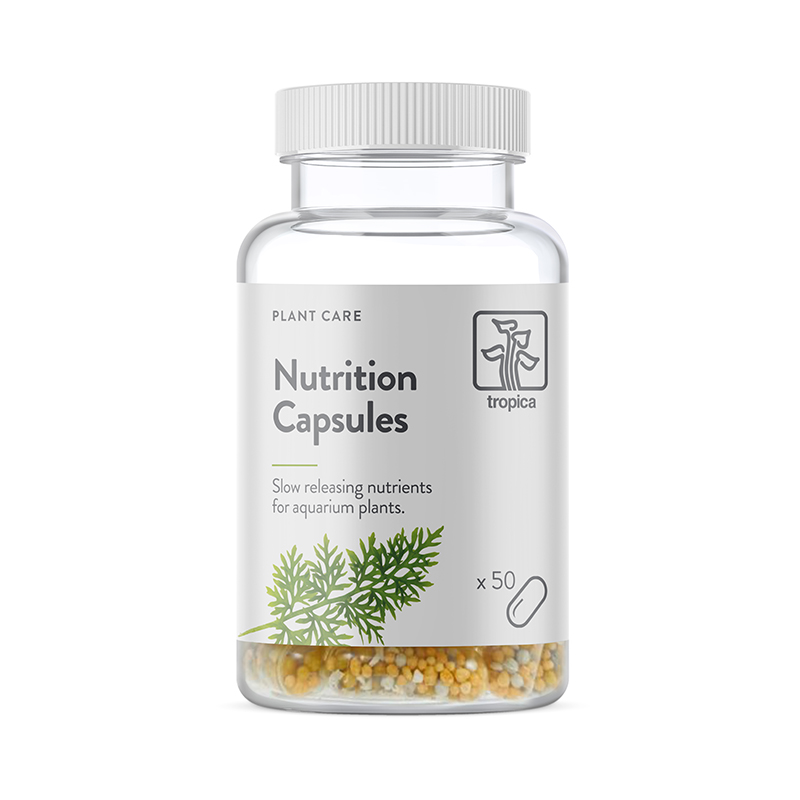 Nutrition Capsules Düngekapseln 50 Stück Nutrition Capsules Düngekapseln 50 Stück