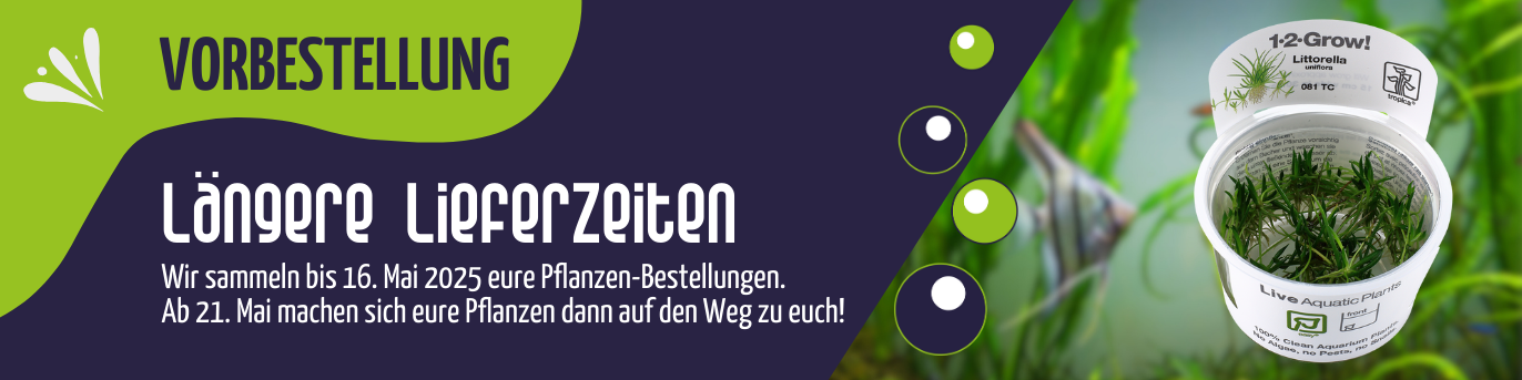 Banner: Pflanzen-Vorbestellungen. Pflanzen in dieser Kategorie werden erst ab 21. Mai 2025 versendet.