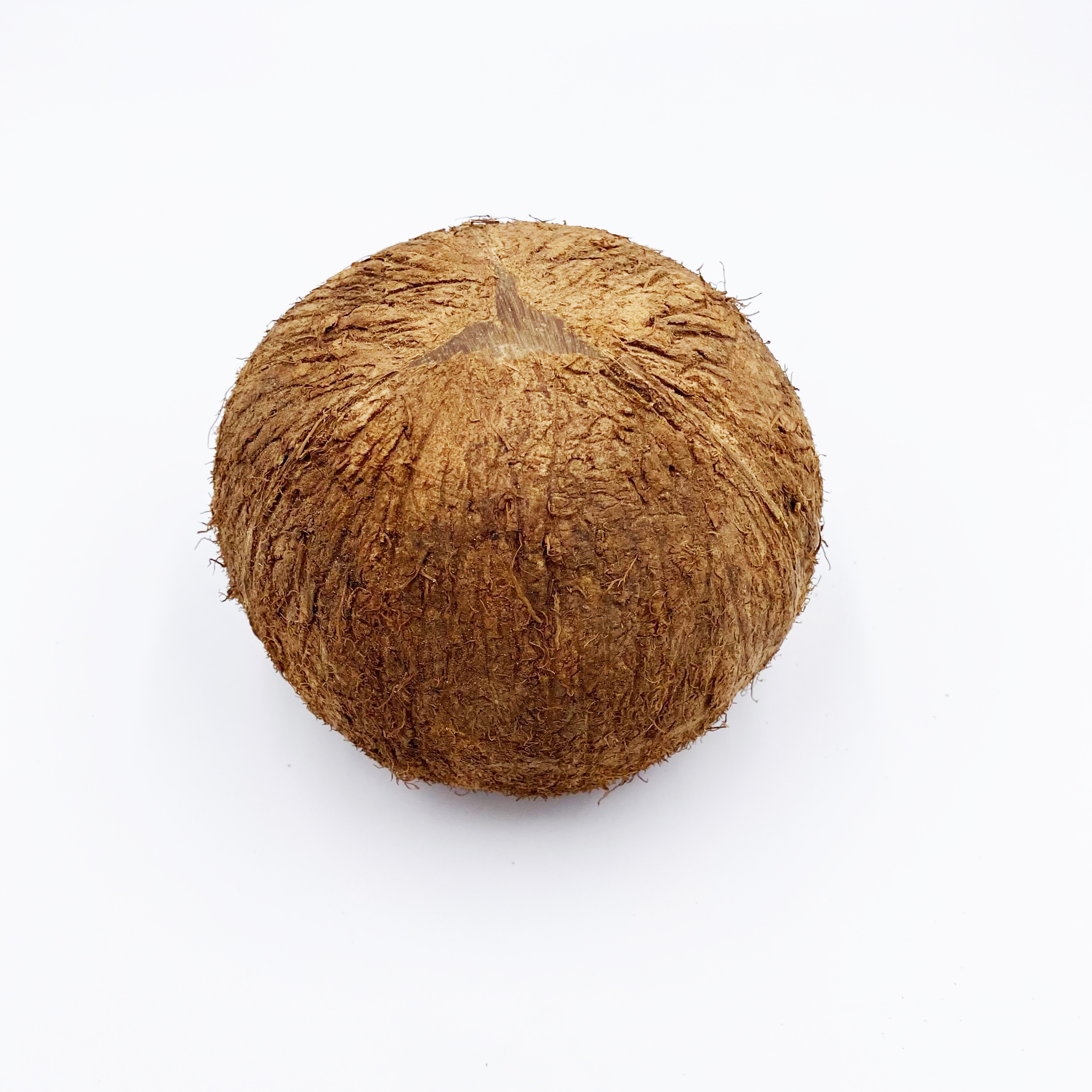 Kokosnuss Halbschale