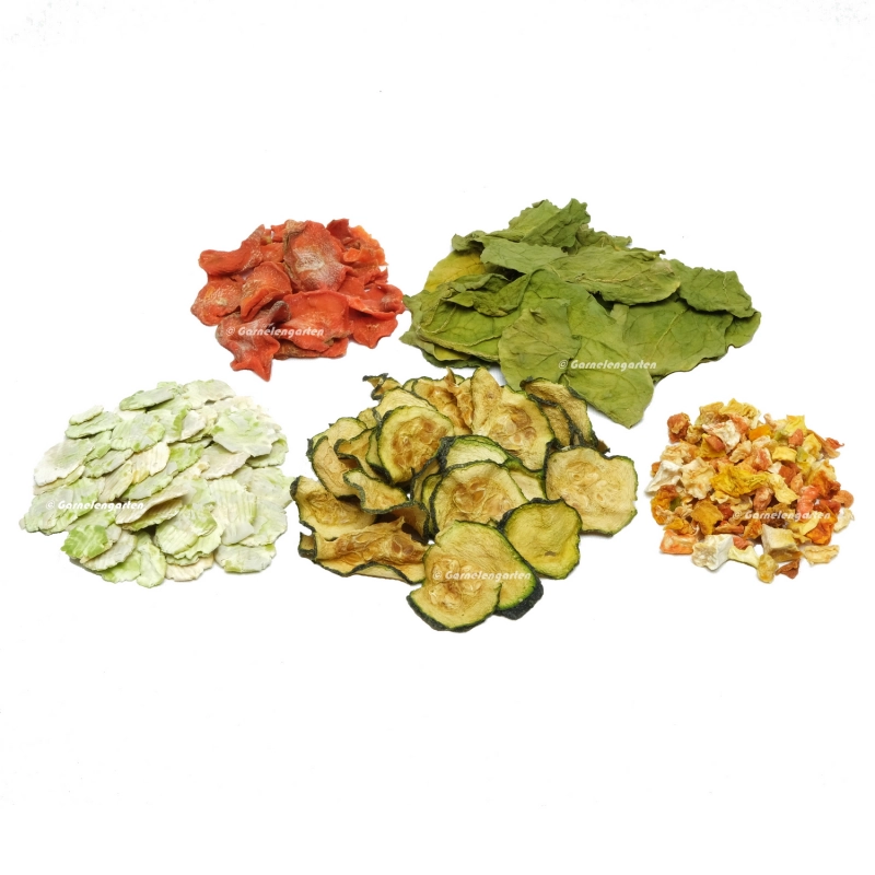 Mix Gemüsegarten - 5 Sorten