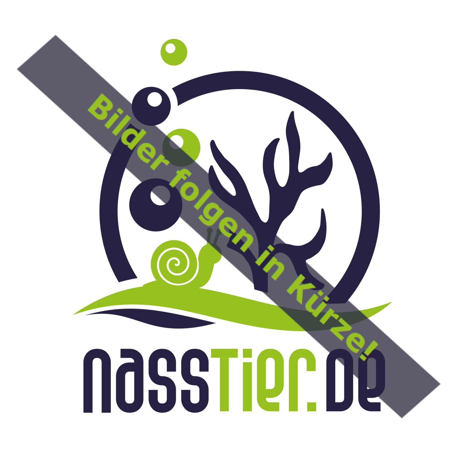 Digital-Aquariumthermometer weiß