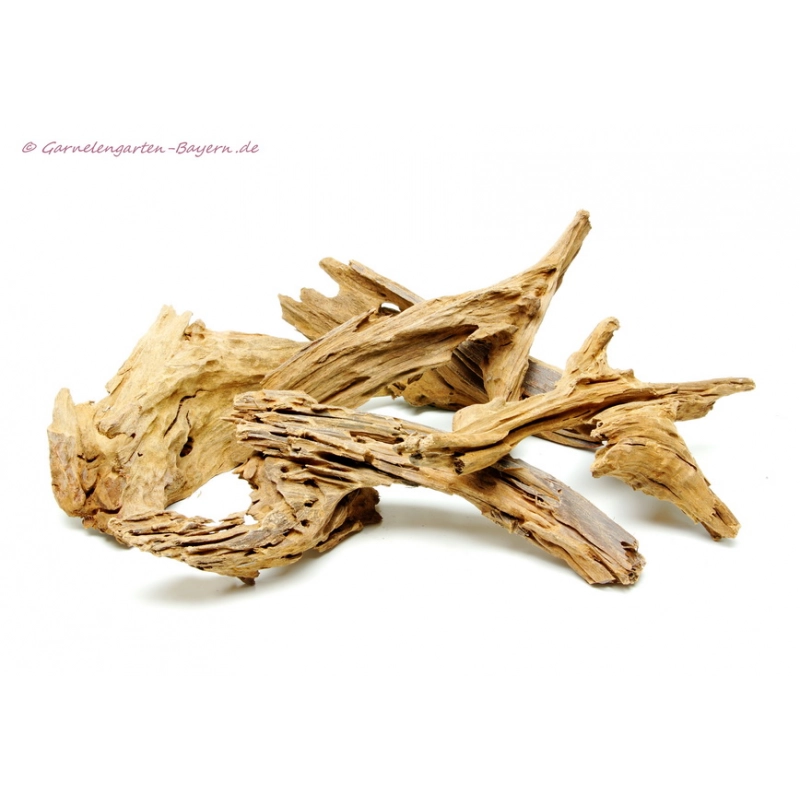 Mangroven Wurzel Medium - ca. 25-35cm