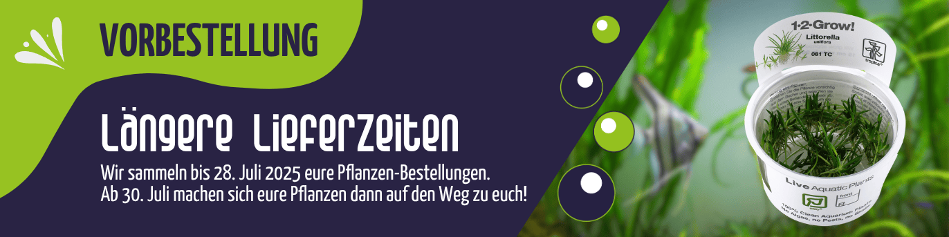 Banner: Pflanzen-Vorbestellungen. Pflanzen in dieser Kategorie werden erst ab 21. Mai 2025 versendet.