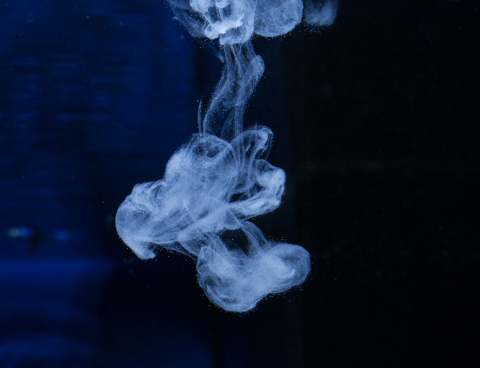 NatureHolic - Crusta ToxEx Liquid - 125ml