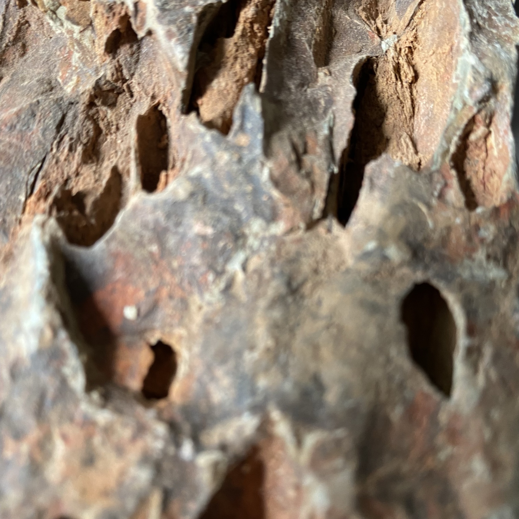 Drachenstein Schuppenstein Dragon Rock Ohko Rock Kiloware