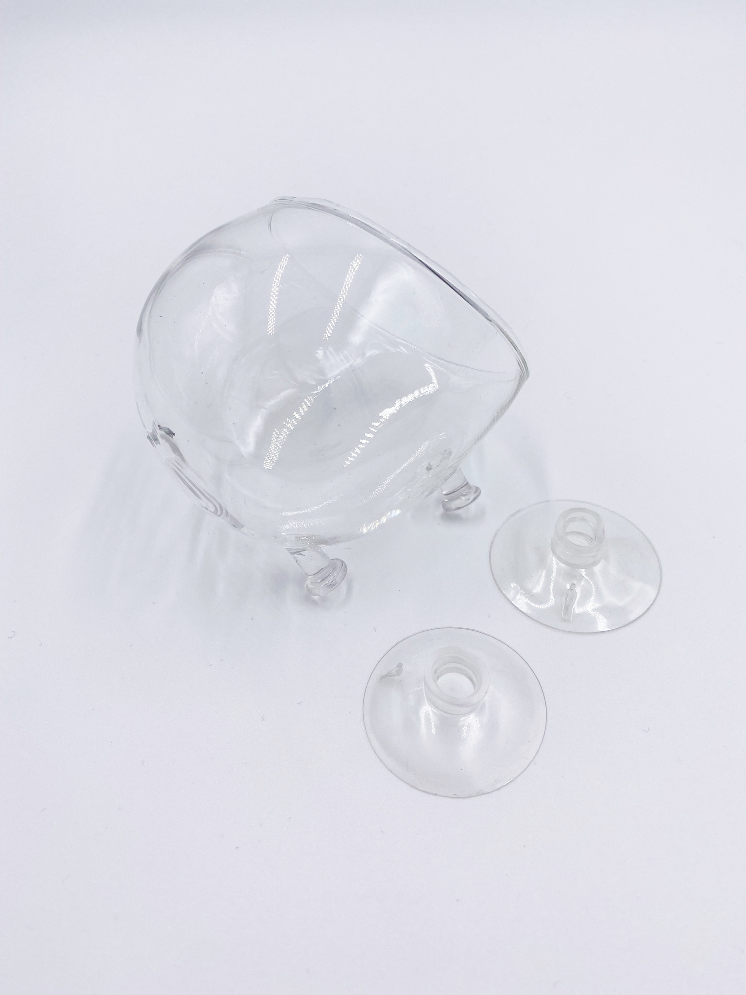 Glas Pflanztopf mit Saugnäpfen - Plant Pot