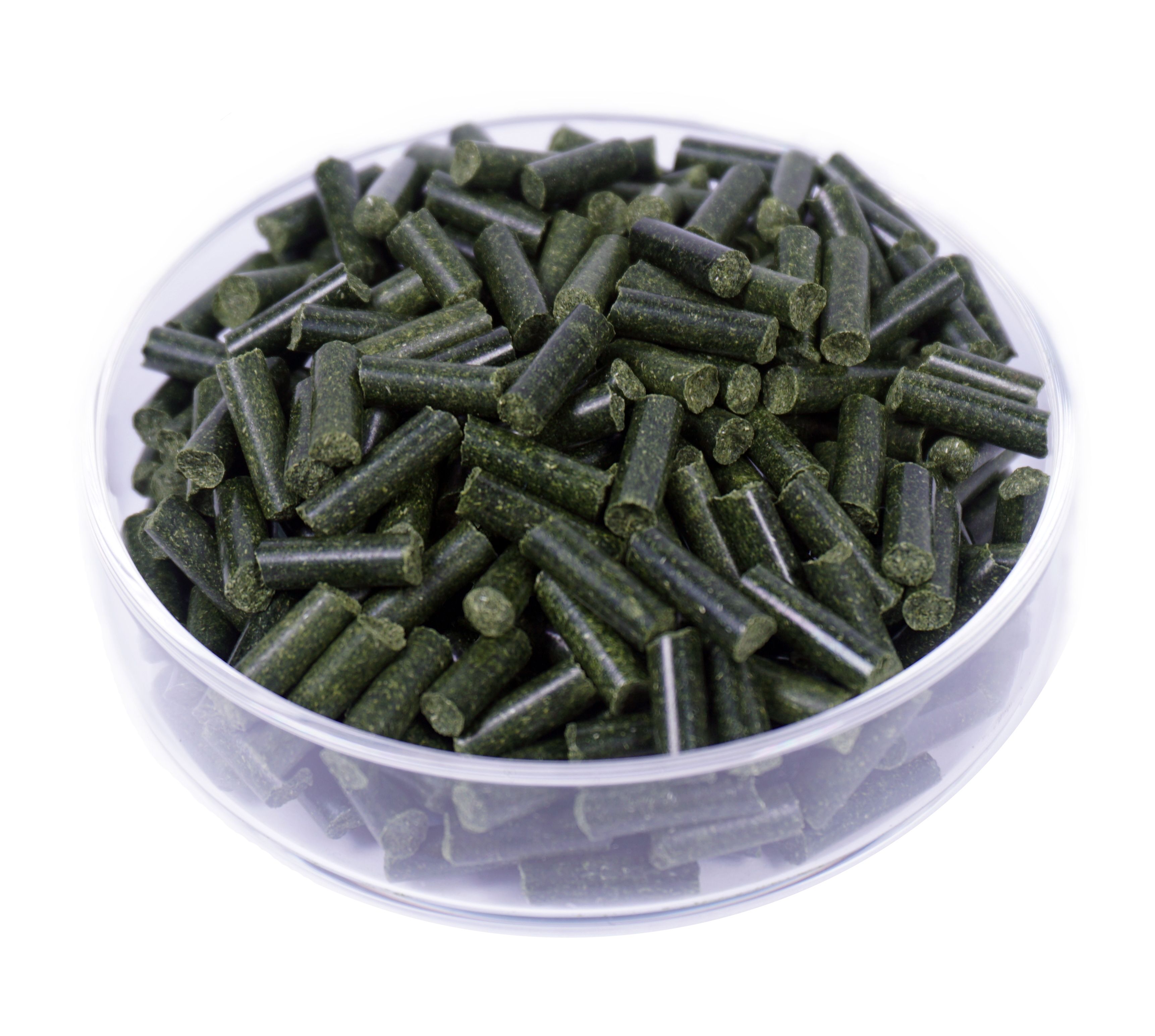 GARNELEN4YOU® Gerstengras Sticks, 50 g Futter Pellets für Garnelen, Krebse und Schnecken GARNELEN4YOU® Gerstengras Sticks, 50 g Futter Pellets für Garnelen, Krebse und Schnecken