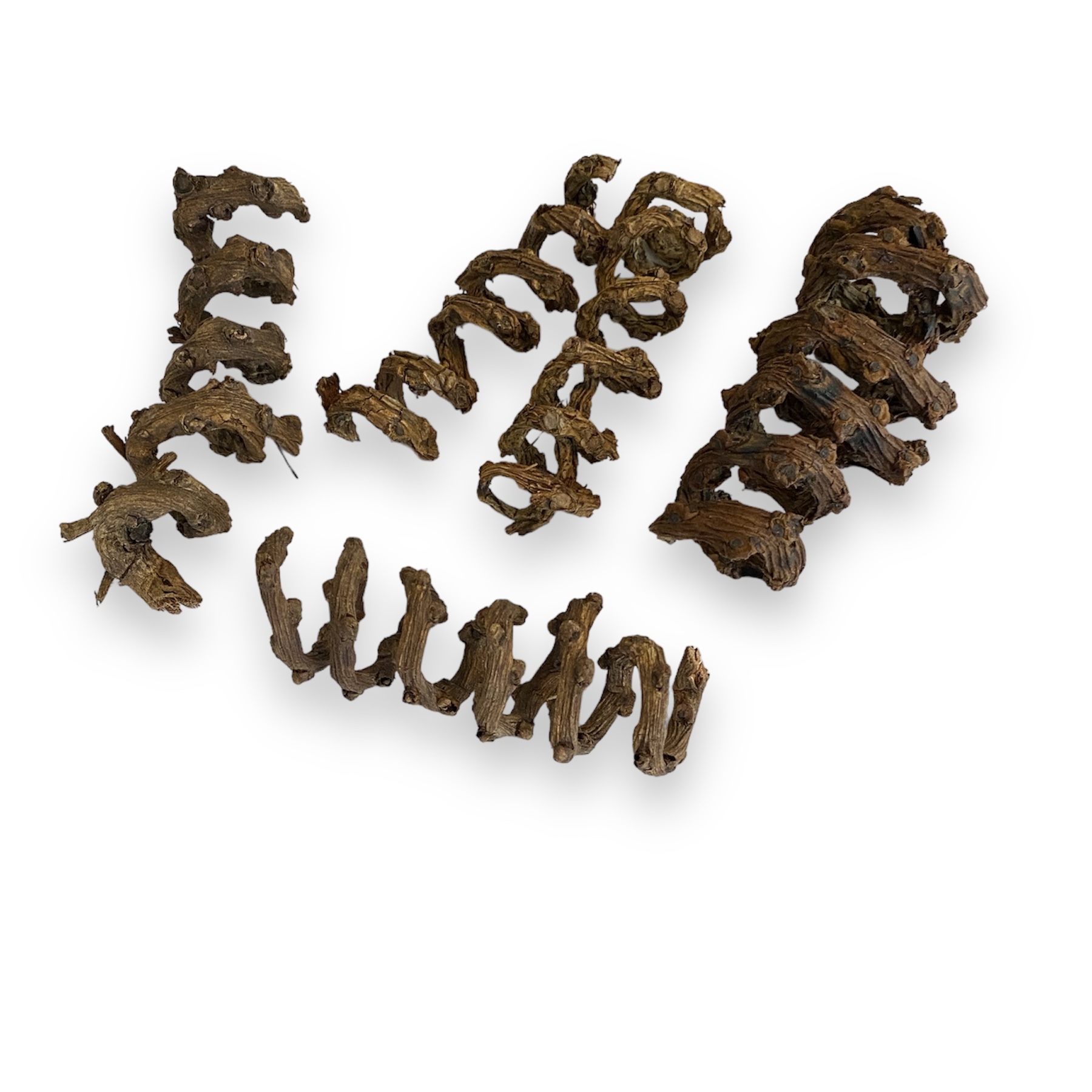 Palmenblüten Locken - 5 Stück