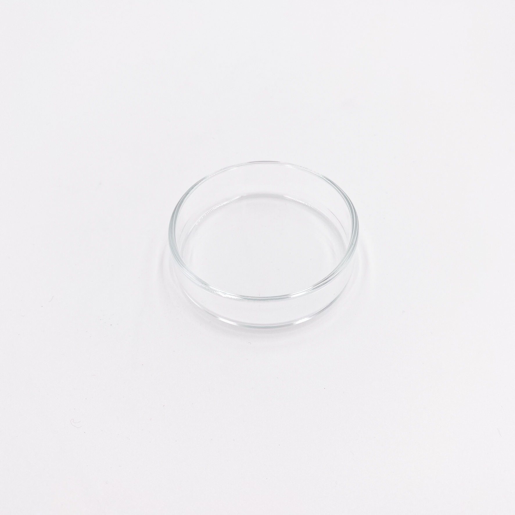 Futterschalen aus Glas 2er Set klein