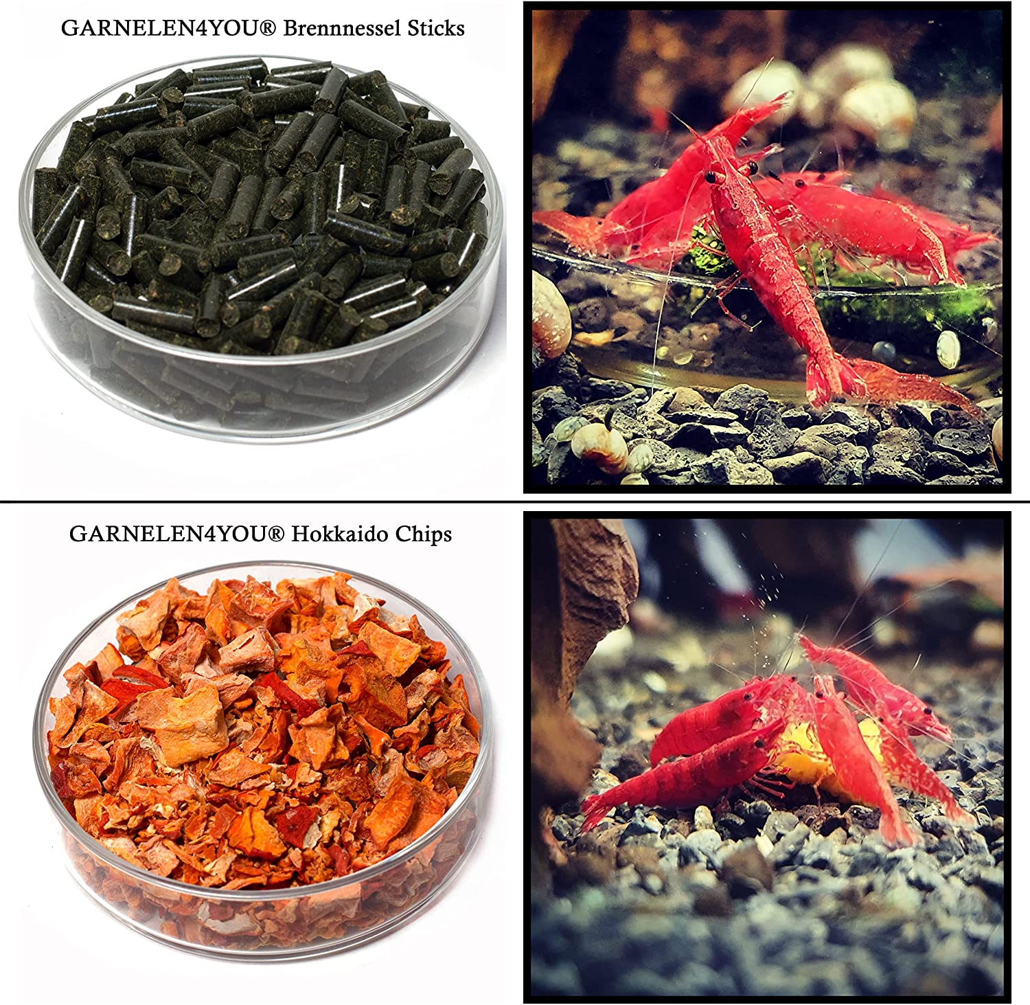 GARNELEN4YOU® 8er Probeset Futter-Sticks / Chips für Garnelen, Krebse und Schnecken | 7 Sorten Plus Seemandelbaumblätter GARNELEN4YOU® 8er Probeset Futter-Sticks / Chips für Garnelen, Krebse und Schnecken | 7 Sorten Plus Seemandelbaumblätter